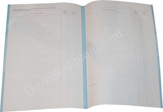 Диплом для иностранцев (НОВИНКА) 2014-2026